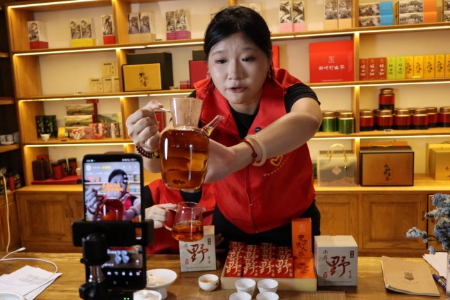 田间直播间赋能乡村产业！广工程学子赴连州丰阳助力百千万工程